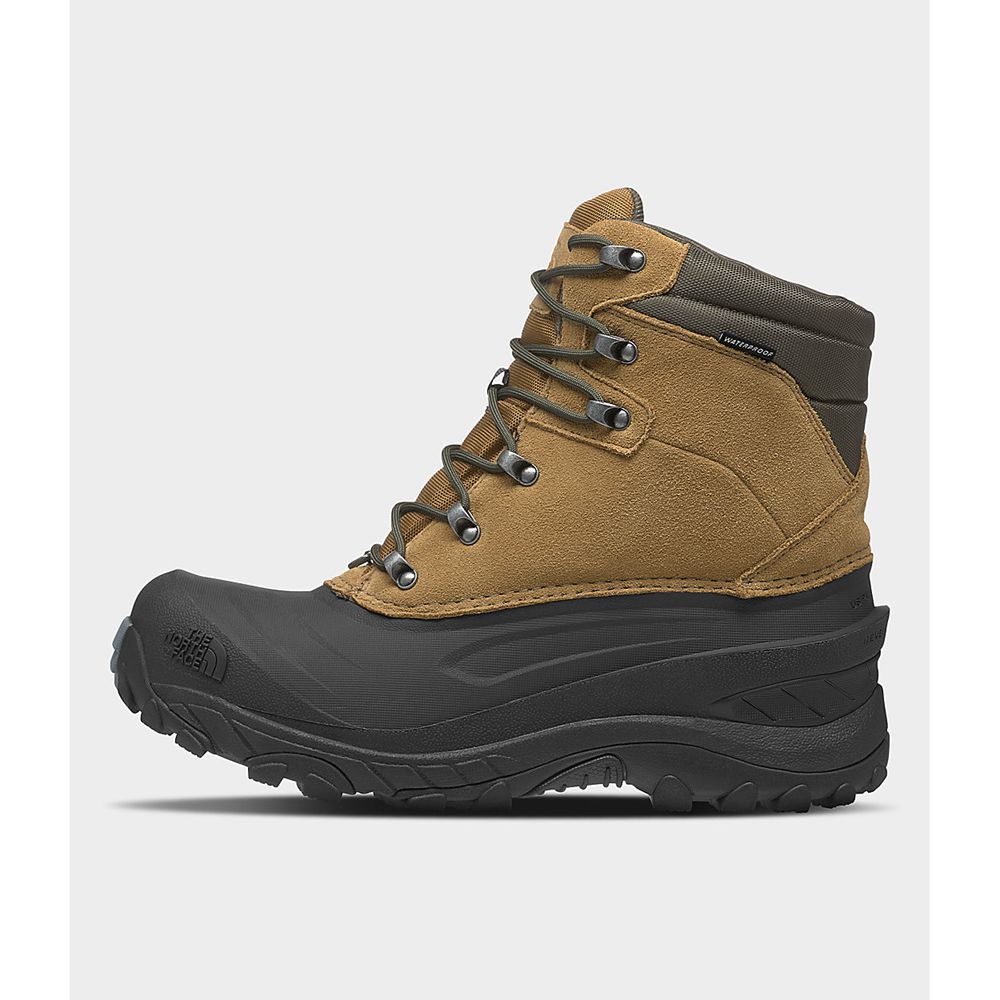 The North Face Hiking Boots Mens Australia - The North Face Chilkat Iv Brown / Green (VBL-293567)